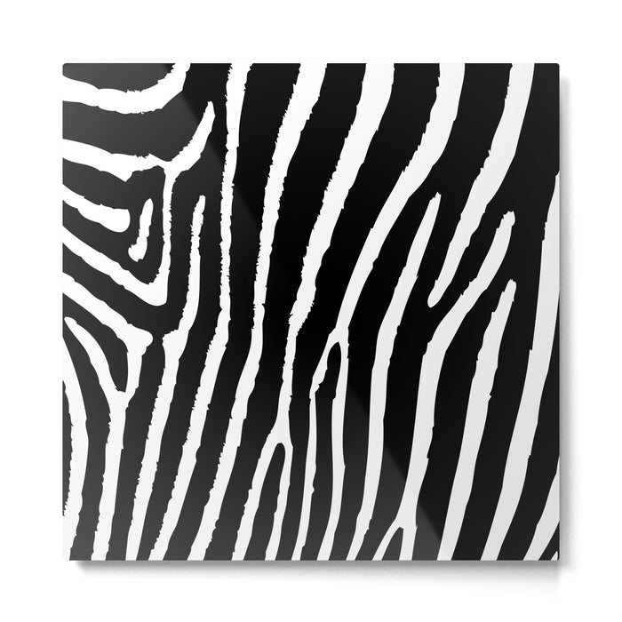 Zebra Metal Print Gallery Image 1