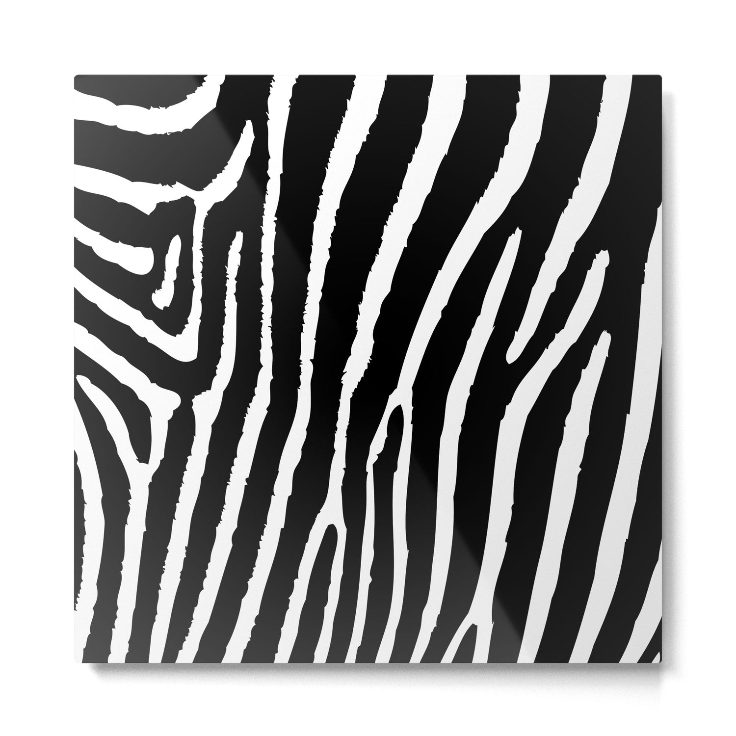 Zebra Metal Print Gallery Image 2