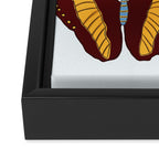 Fall butterflies Framed Canvas Print Gallery Image 2