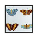 Fall butterflies Framed Canvas Print Gallery Image 3
