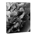 Black and White Summer Peony Canvas Print Gallery Image 6