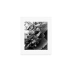 Black and White Summer Peony Art Print Gallery Image 1