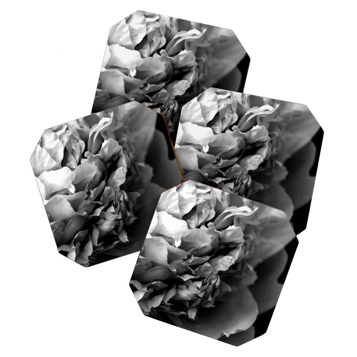 Black and White Summer Peony Coaster Gallery Image 1