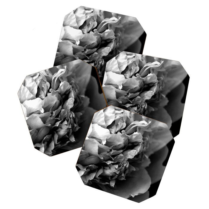 Black and White Summer Peony Coaster Gallery Image 1