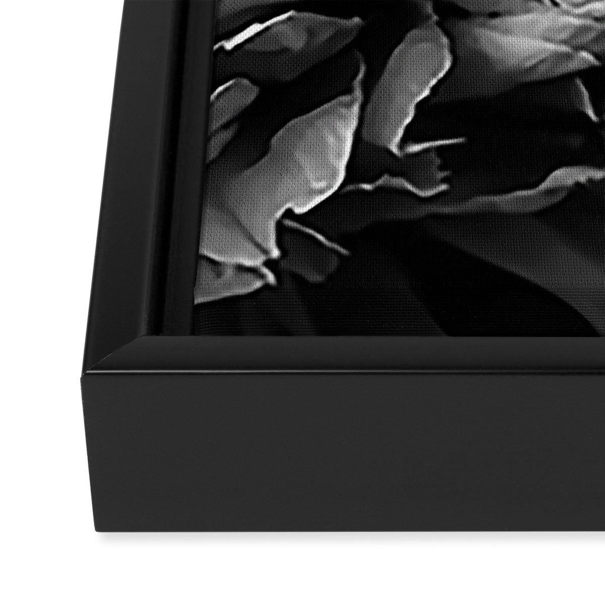 Black and White Summer Peony Framed Canvas Print Gallery Image 3