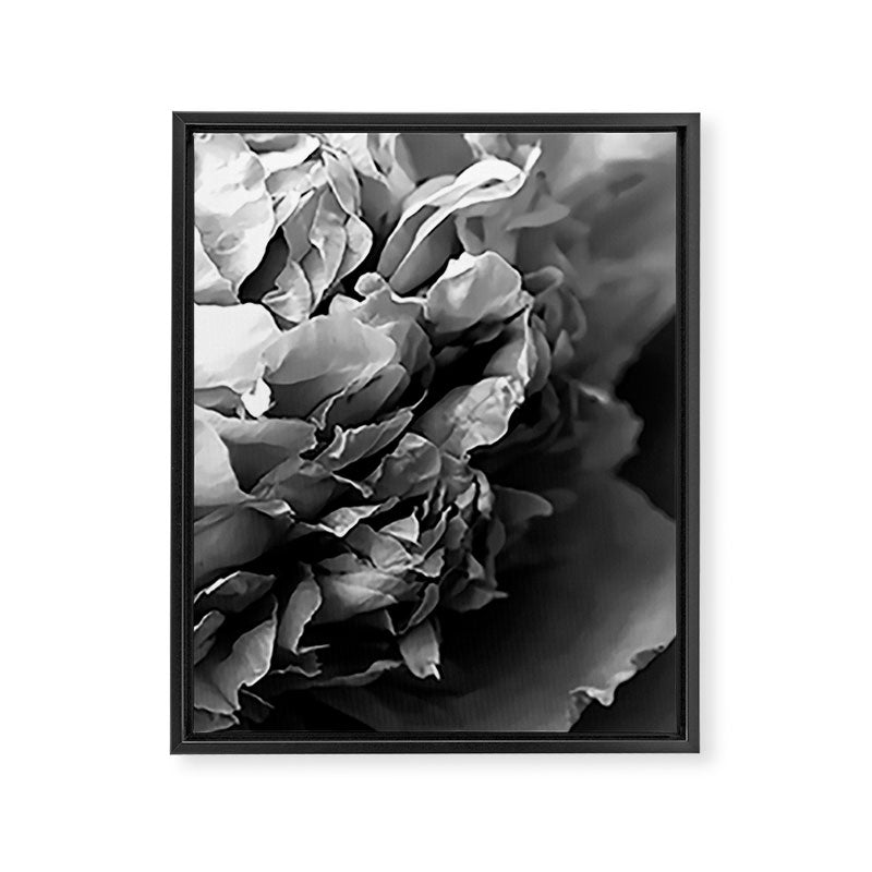 Black and White Summer Peony Framed Canvas Print Gallery Image 6