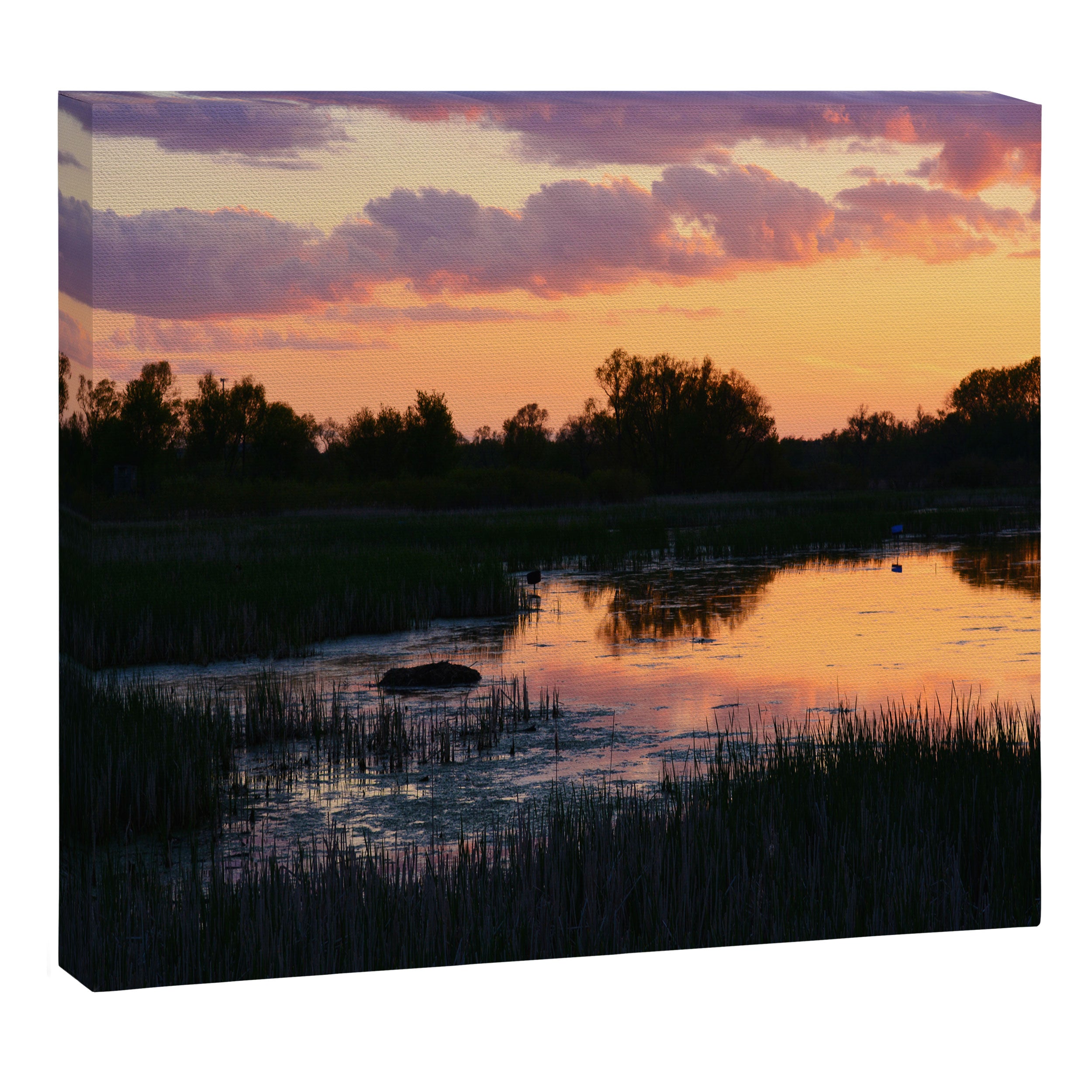 Perfect Pastel Spring Sunset Canvas Print Gallery Image 6