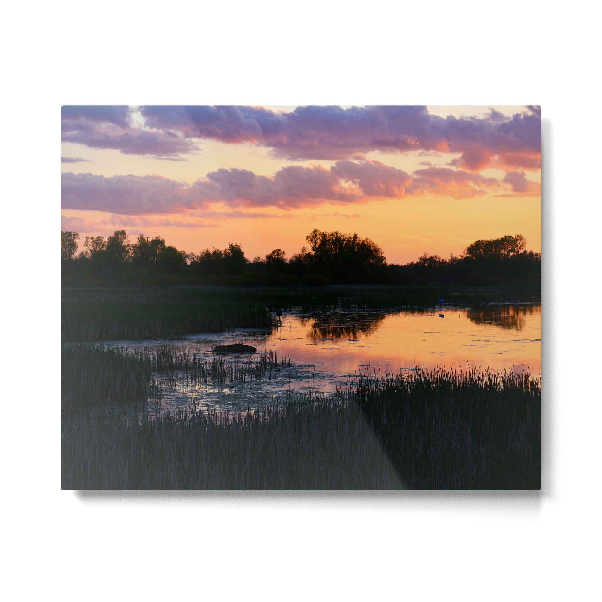 Perfect Pastel Spring Sunset Metal Print Gallery Image 4