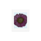 Pink Flower Drawing/ Illustration Art Print Gallery Image 1