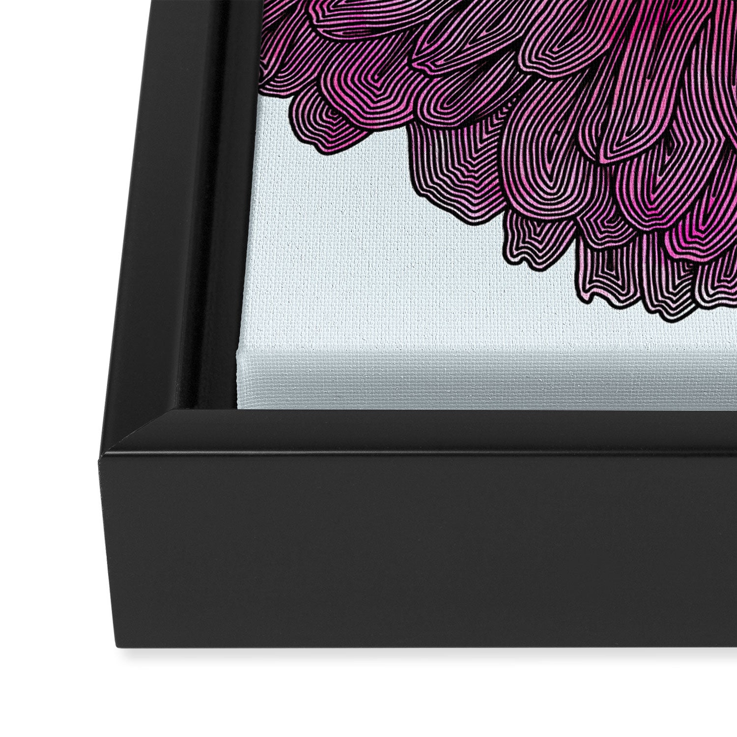 Pink Flower Drawing/ Illustration Framed Canvas Print Gallery Image 3