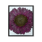 Pink Flower Drawing/ Illustration Framed Canvas Print Gallery Image 8