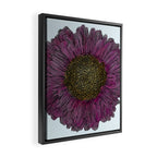 Pink Flower Drawing/ Illustration Framed Canvas Print Gallery Image 2