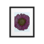 Pink Flower Drawing/ Illustration Framed Art Print Gallery Image 6