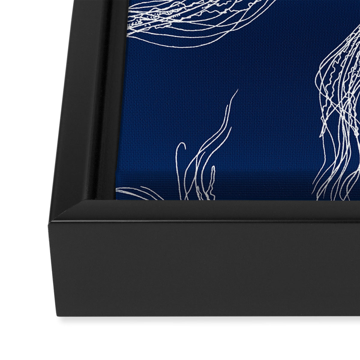 Jellyfish Print - Navy Framed Canvas Print Gallery Image 3