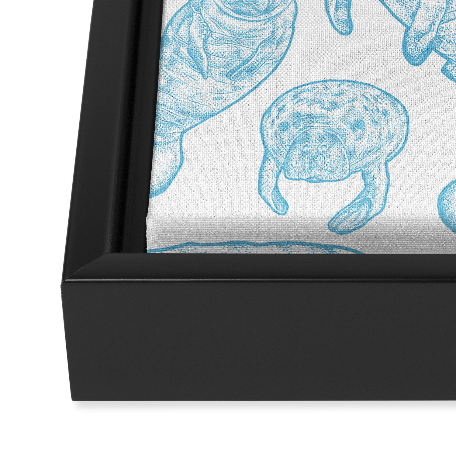 Manatees - Light Blue Framed Canvas Print Gallery Image 3