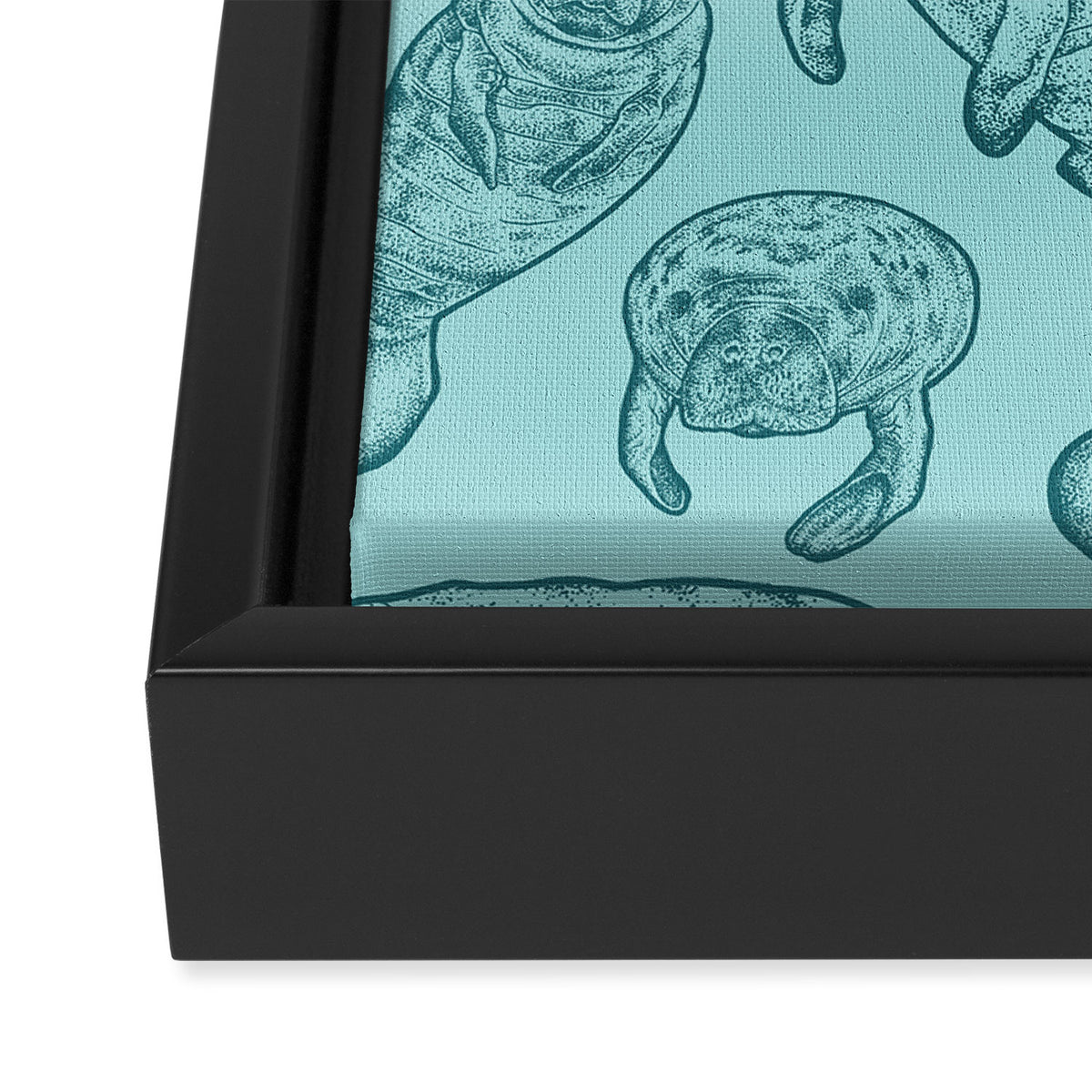 Manatees - Teal Framed Canvas Print Gallery Image 3