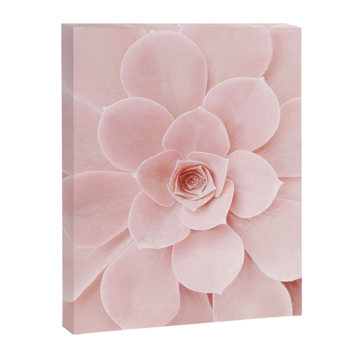 Blush Succulent Canvas Print Gallery Image 1
