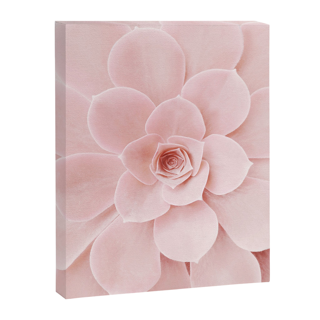 Blush Succulent Canvas Print Gallery Image 6