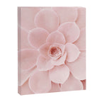 Blush Succulent Canvas Print Gallery Image 6