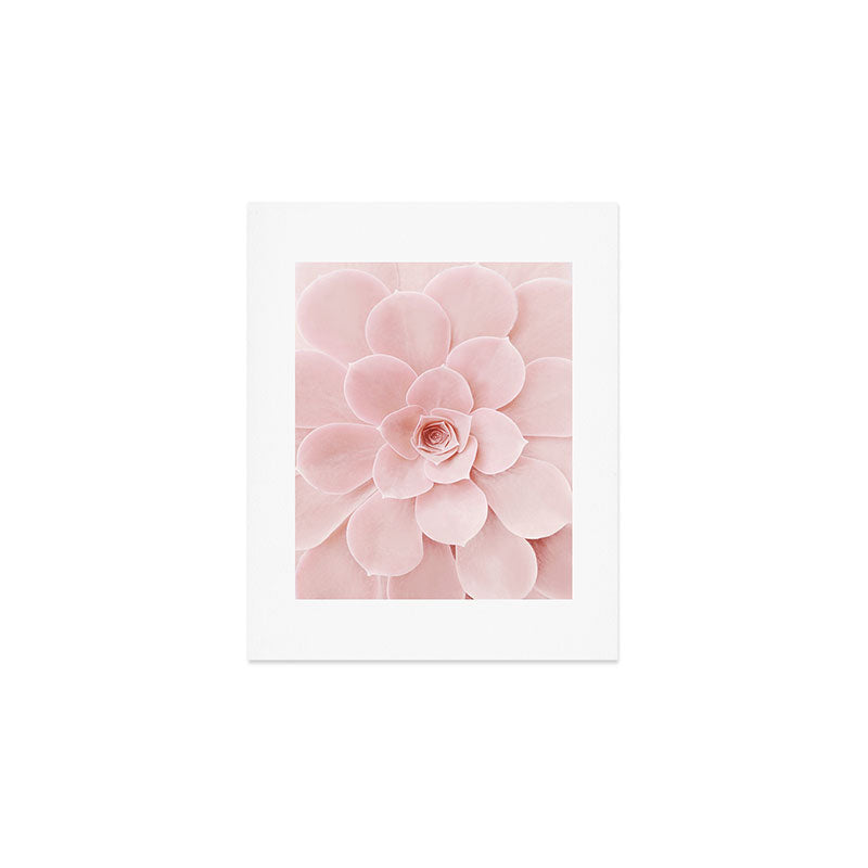 Blush Succulent Art Print Gallery Image 1
