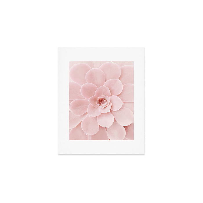 Blush Succulent Art Print Gallery Image 1