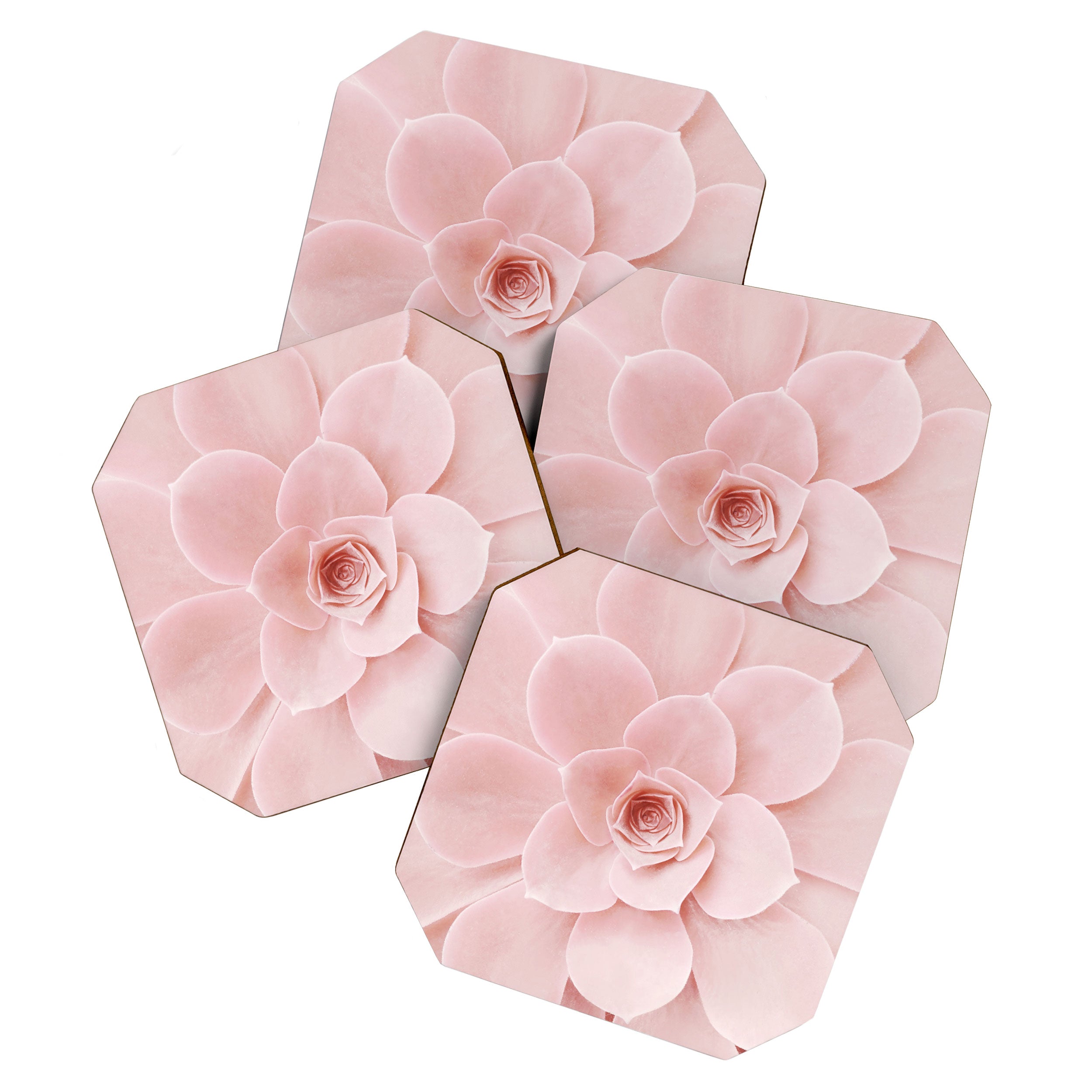 Blush Succulent Coaster Gallery Image 1