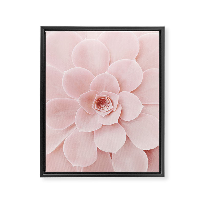Blush Succulent Framed Canvas Print Gallery Image 6
