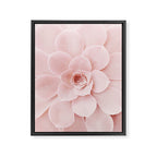 Blush Succulent Framed Canvas Print Gallery Image 6