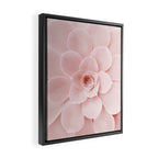 Blush Succulent Framed Canvas Print Gallery Image 2