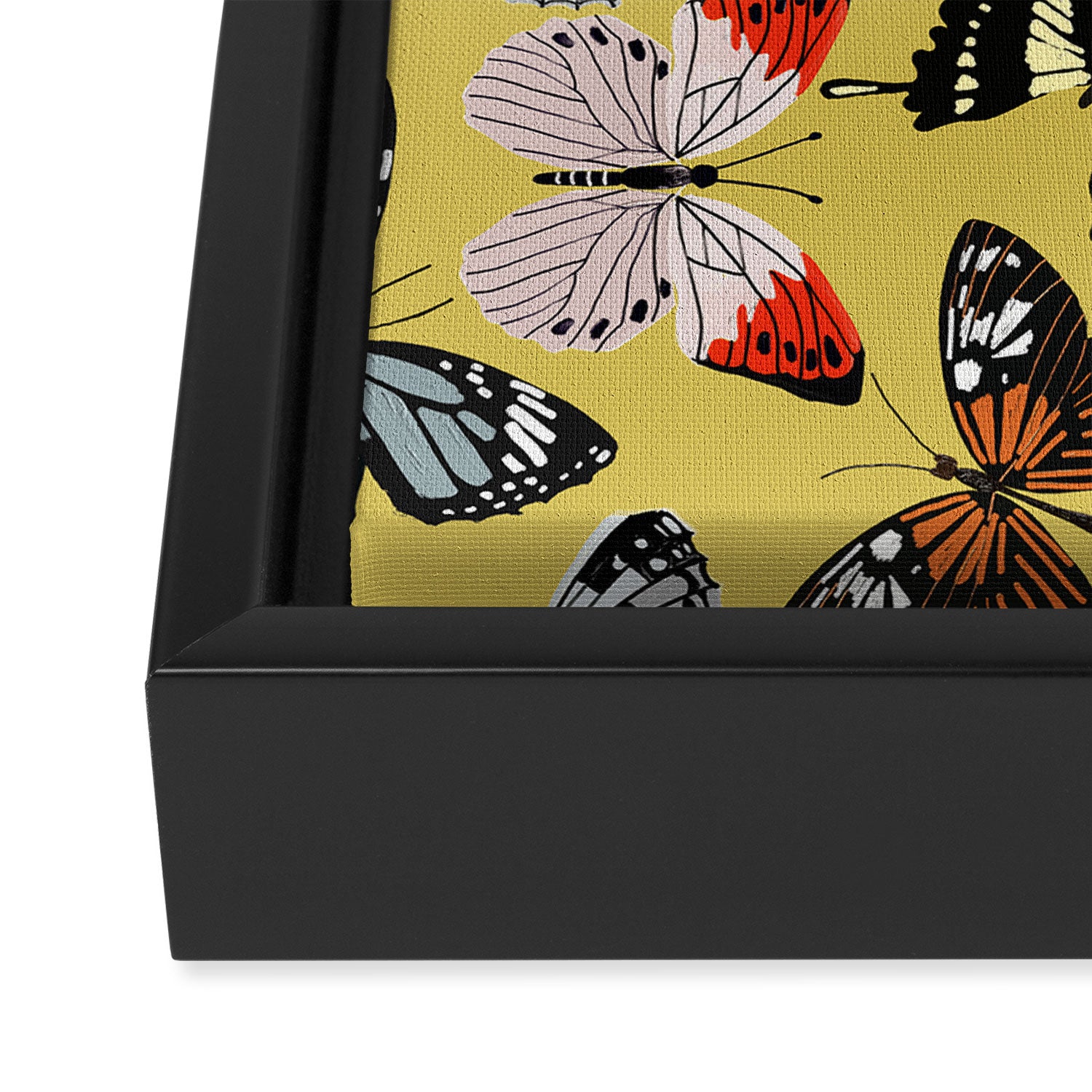 Boho Butterflies Framed Canvas Print Gallery Image 3