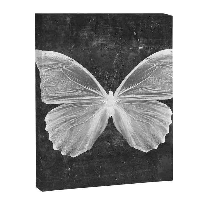Butterfly in Black Canvas Print Gallery Image 1