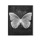 Butterfly in Black Framed Canvas Print Gallery Image 8