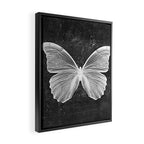 Butterfly in Black Framed Canvas Print Gallery Image 2
