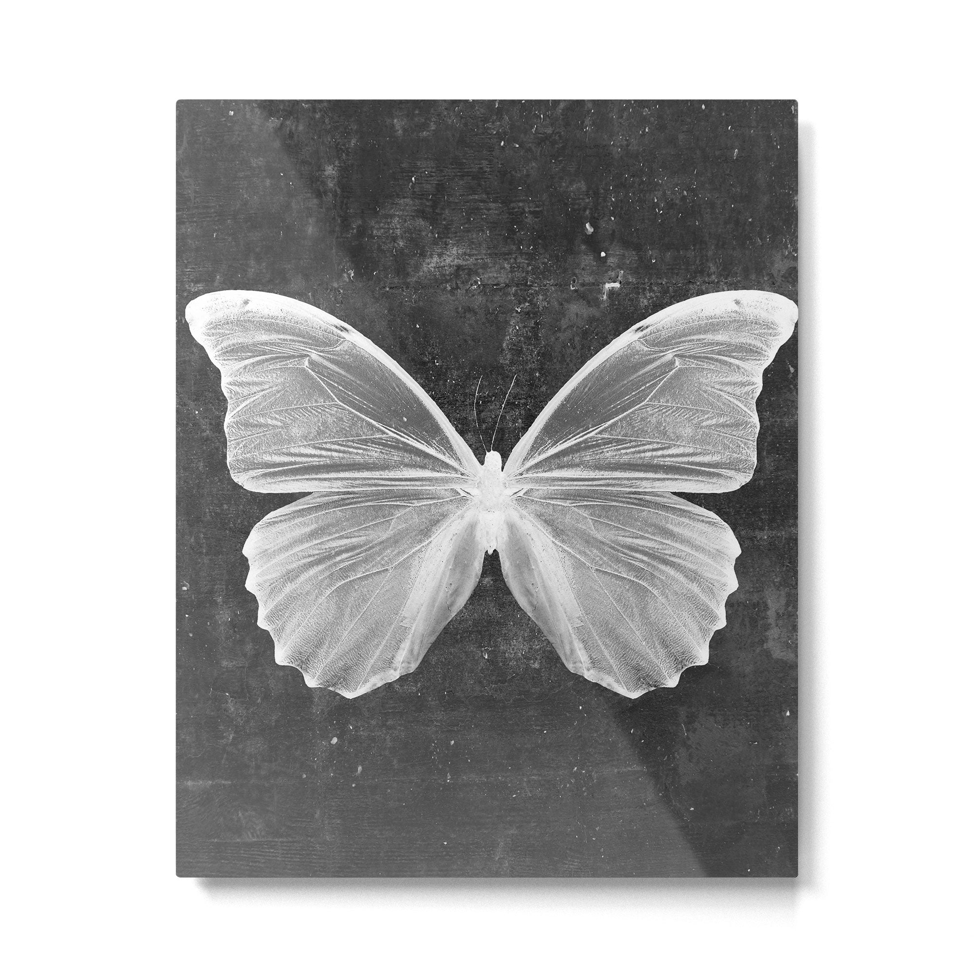 Butterfly in Black Metal Print Gallery Image 6