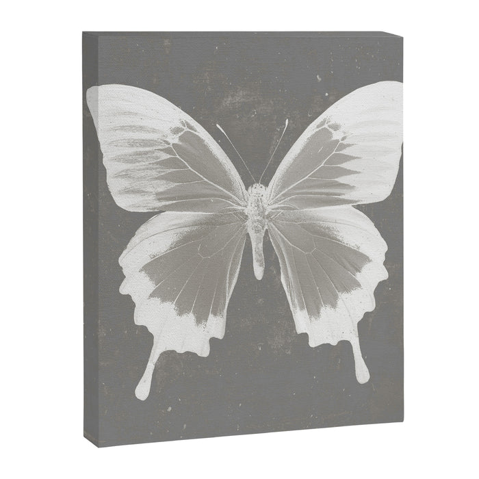 Butterfly on grunge surface Canvas Print Gallery Image 1
