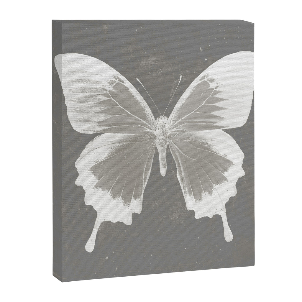 Butterfly on grunge surface Canvas Print Gallery Image 8