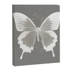 Butterfly on grunge surface Canvas Print Gallery Image 8