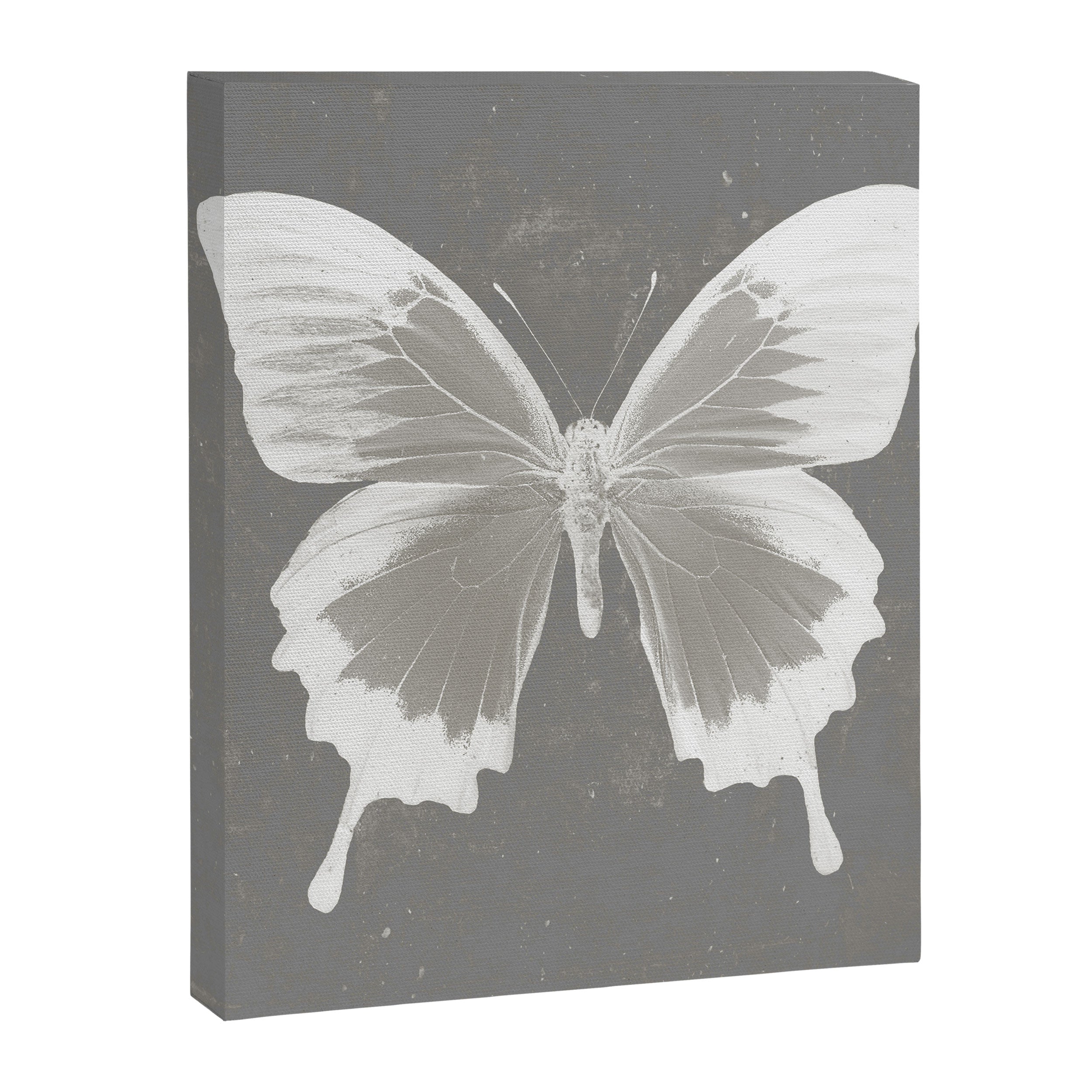 Butterfly on grunge surface Canvas Print Gallery Image 8