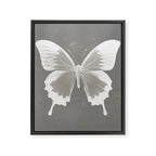 Butterfly on grunge surface Framed Canvas Print Gallery Image 8