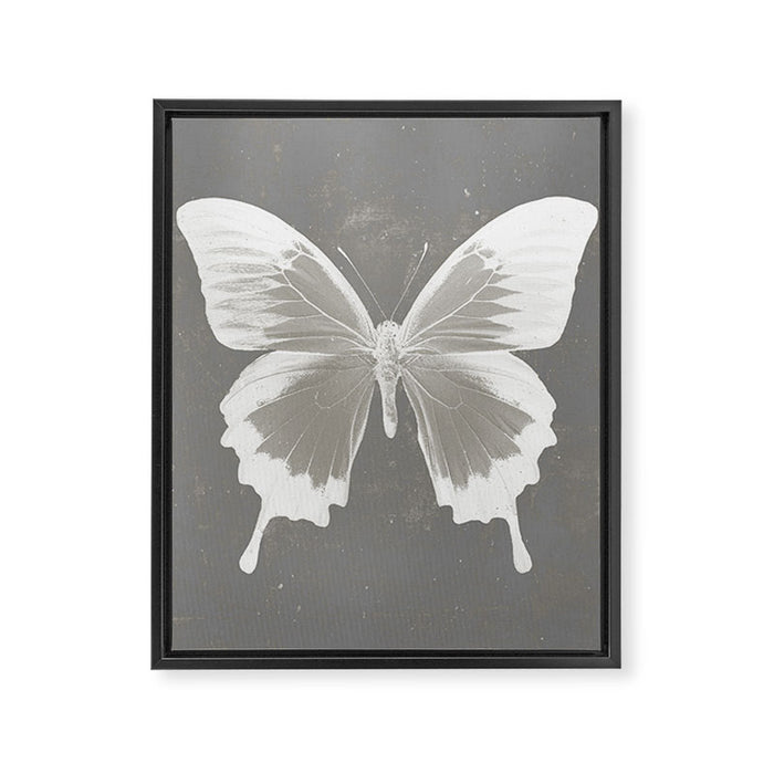 Butterfly on grunge surface Framed Canvas Print Gallery Image 1