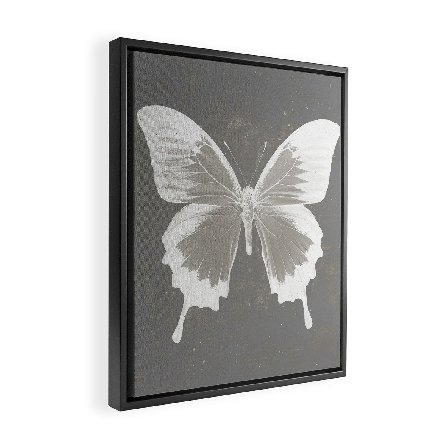 Butterfly on grunge surface Framed Canvas Print Gallery Image 2