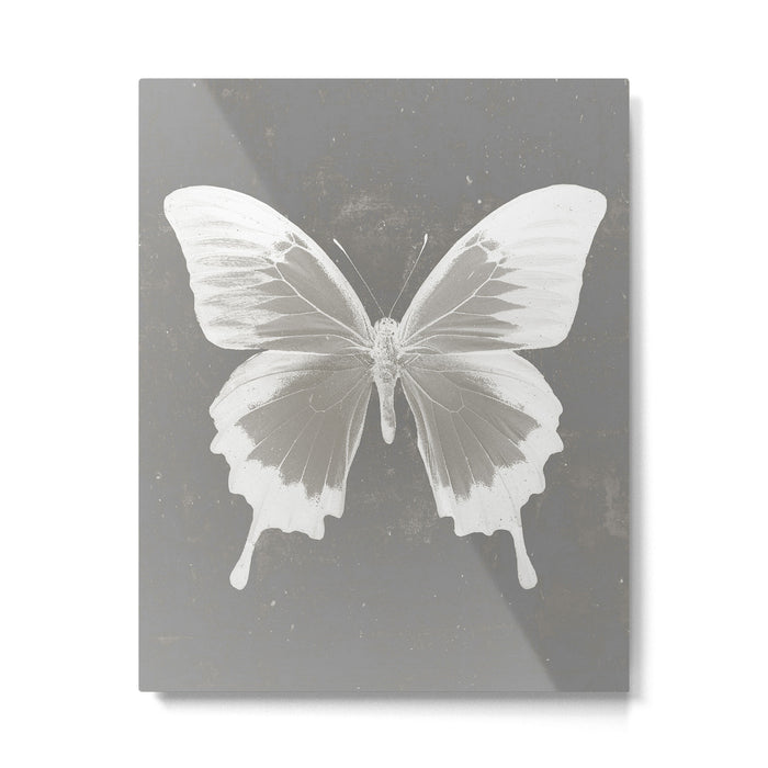 Butterfly on grunge surface Metal Print Gallery Image 1