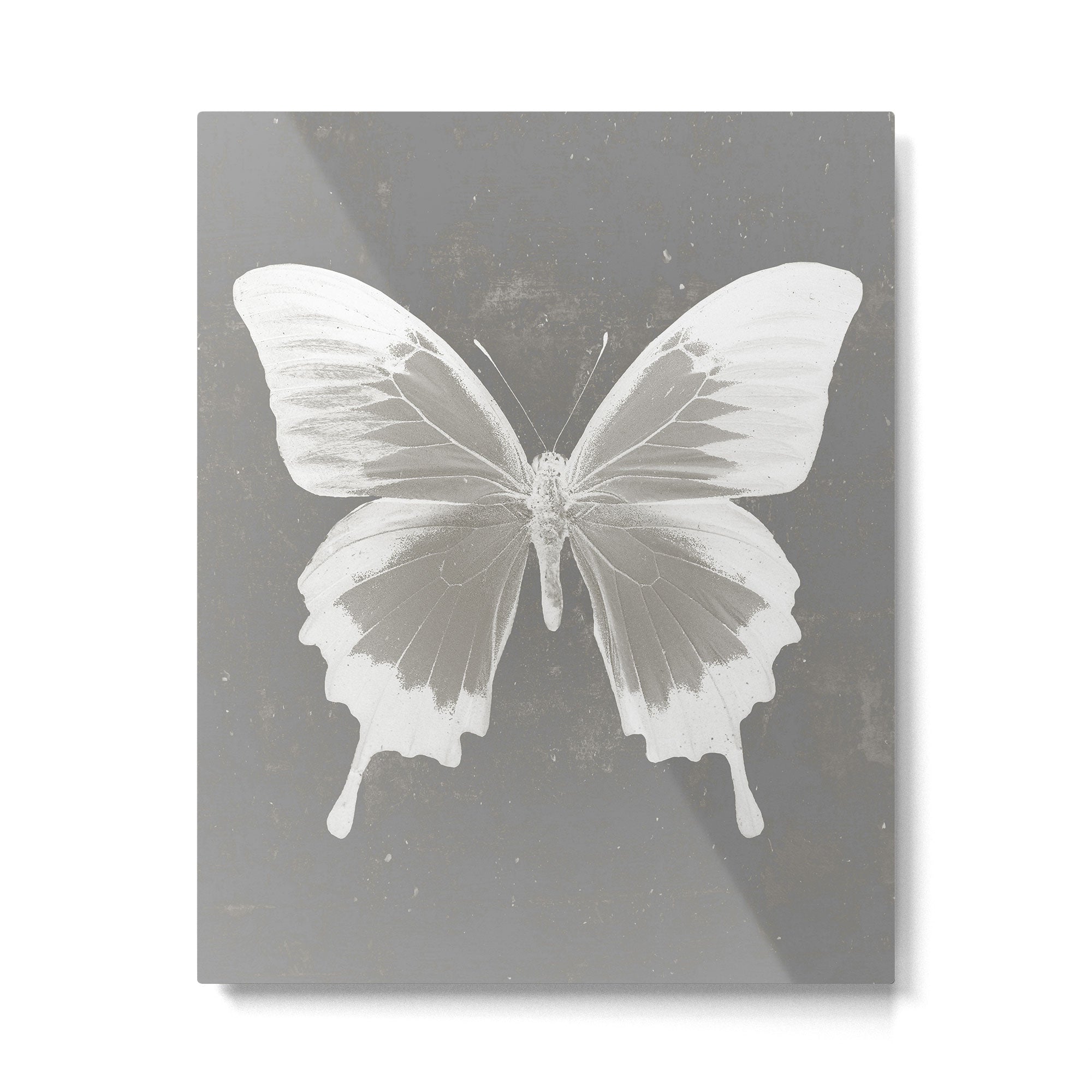 Butterfly on grunge surface Metal Print Gallery Image 6