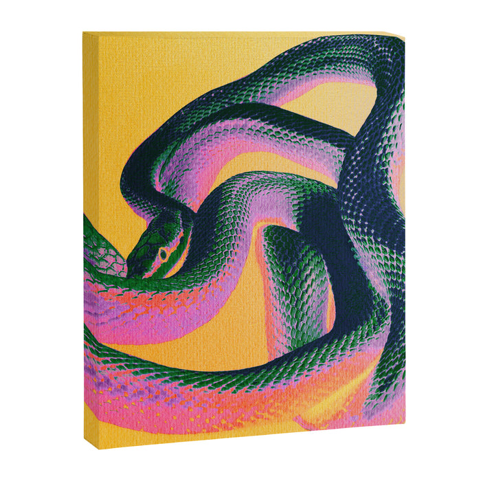 Colorful Snake Canvas Print Gallery Image 1