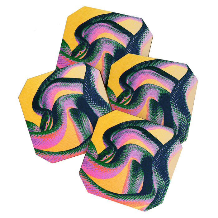 Colorful Snake Coaster Gallery Image 1