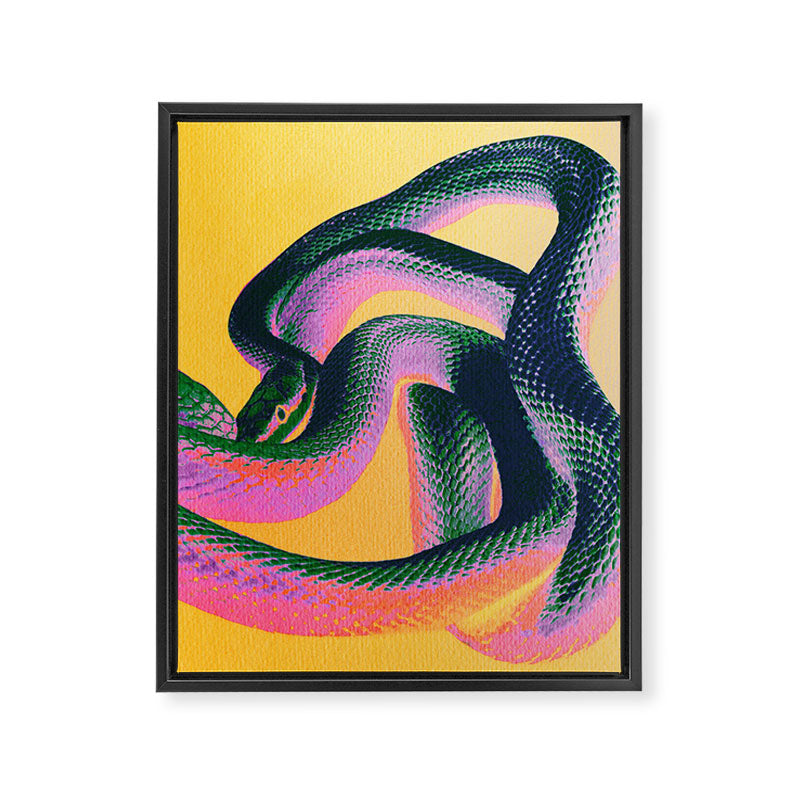 Colorful Snake Framed Canvas Print Gallery Image 6