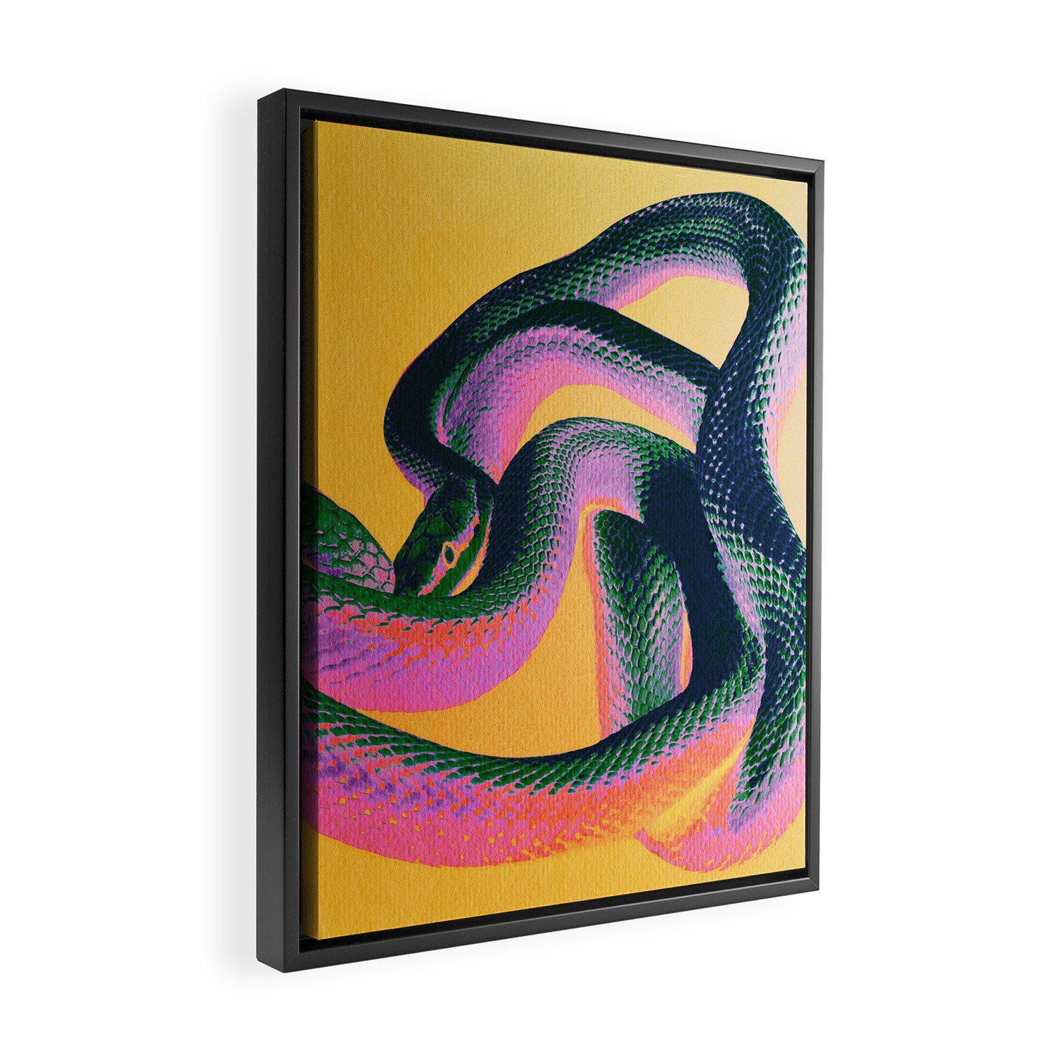 Colorful Snake Framed Canvas Print Gallery Image 2