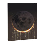 Eclipse Canvas Print Gallery Image 6