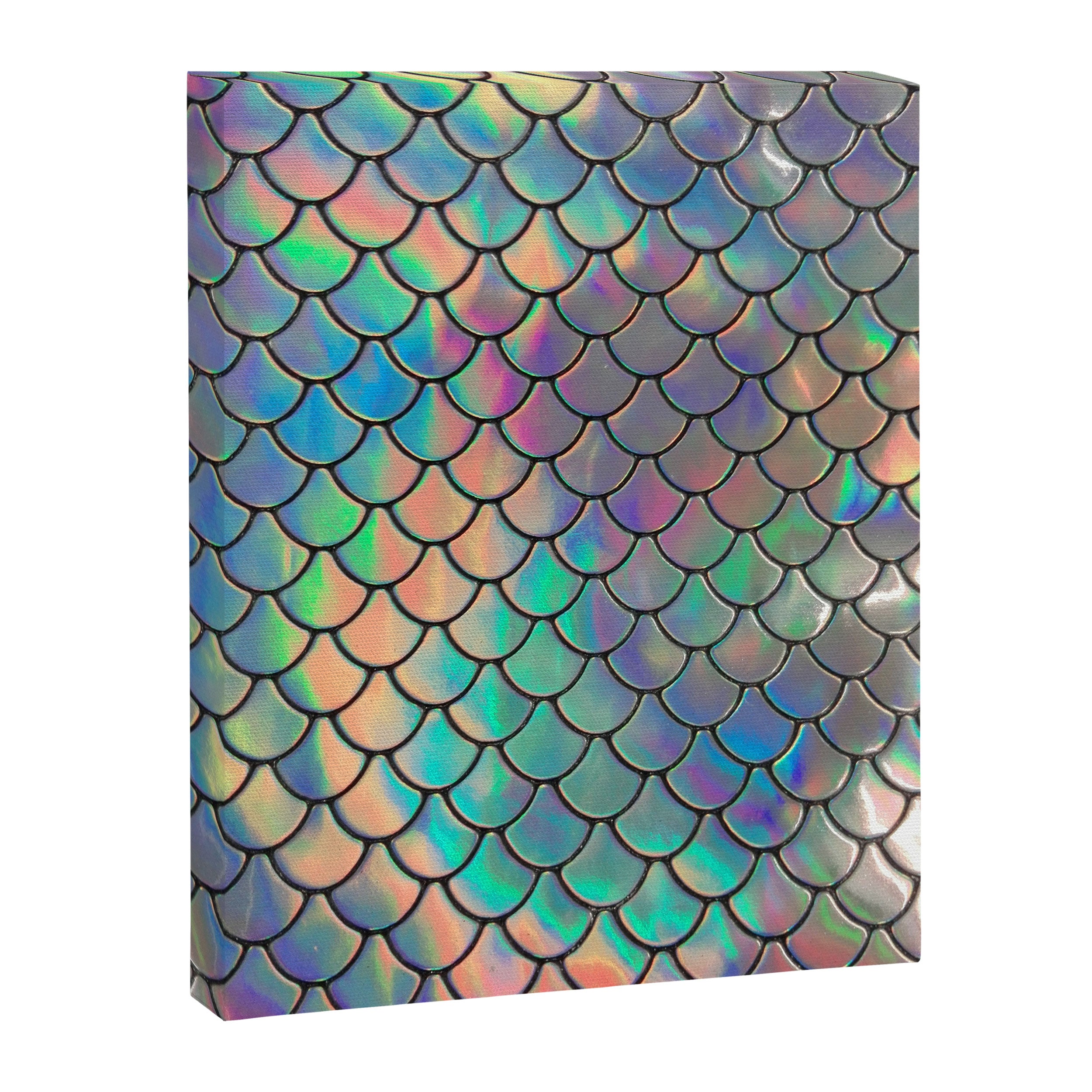 Iridescent Scales Canvas Print Gallery Image 6