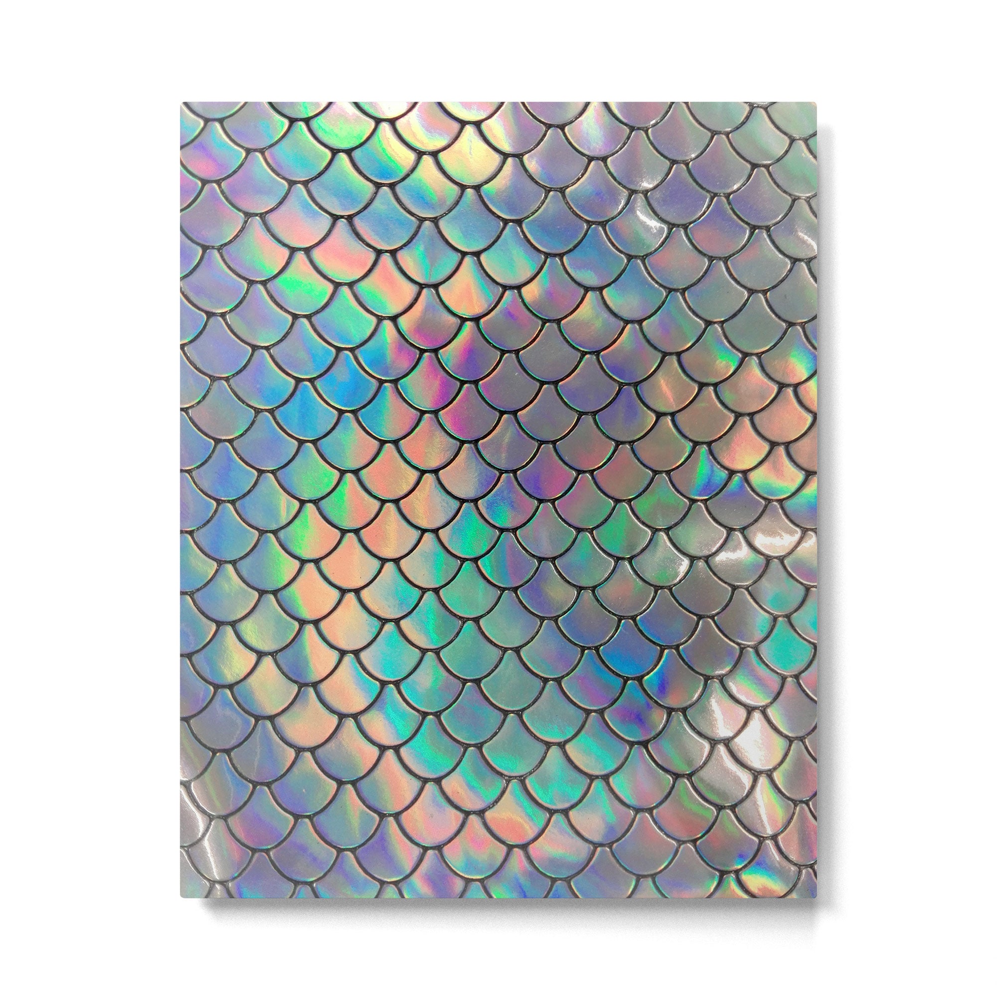 Iridescent Scales Metal Print Gallery Image 4